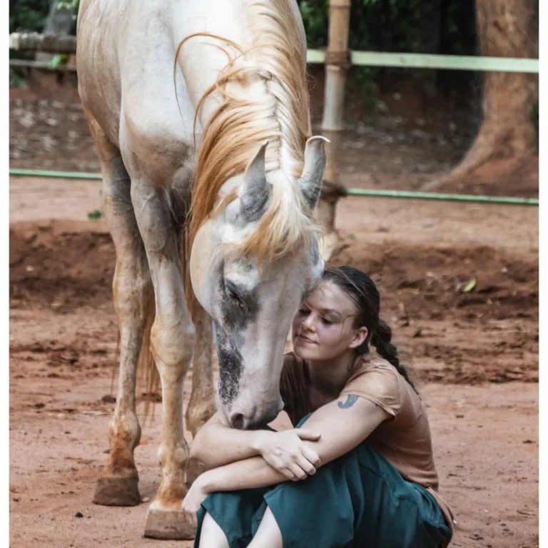 Read more about the article Horsemanship as Therapy