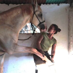 Hoof trimming is always a great time to connect.