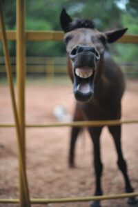 Morning Yawn