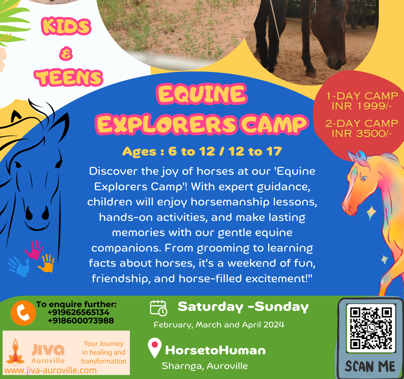 Read more about the article Equine Explorers Camp