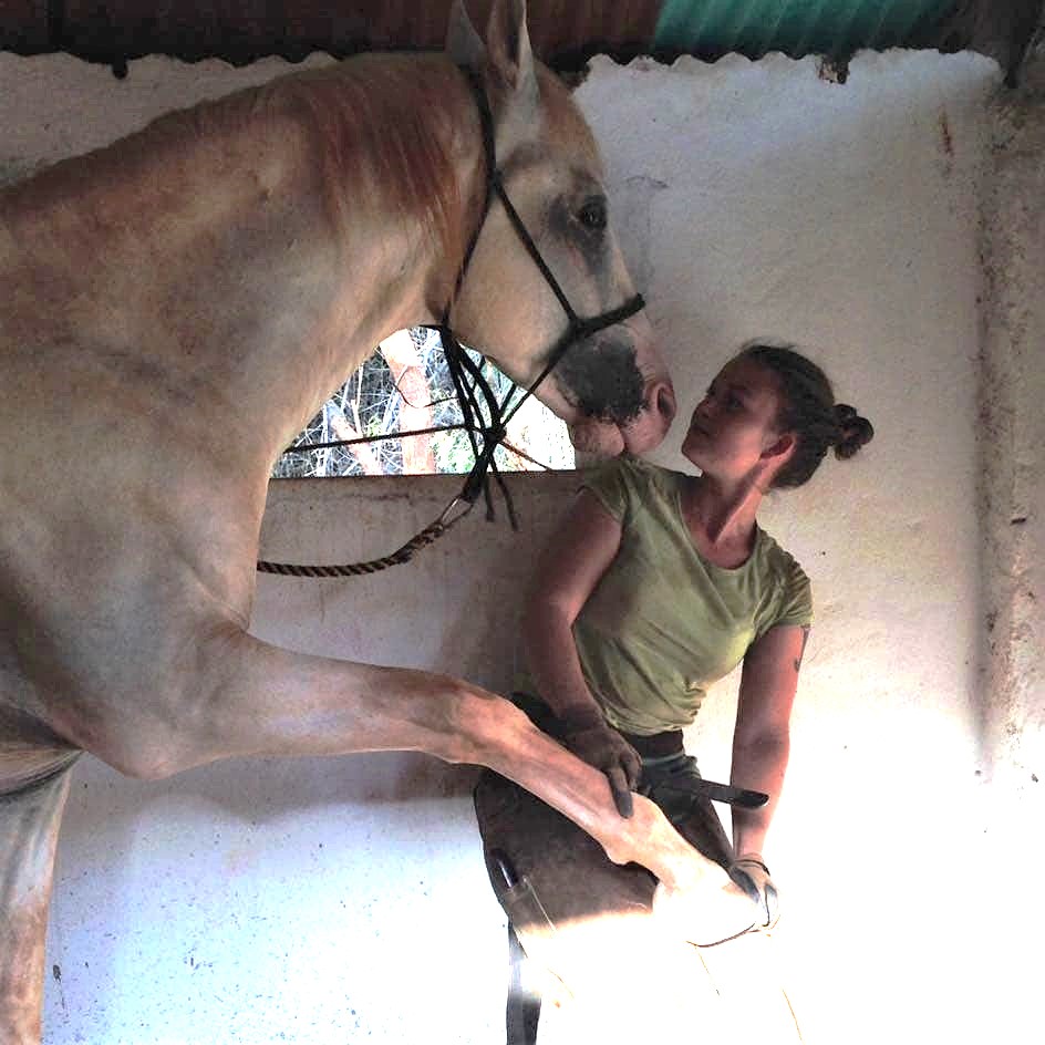 Read more about the article Professional Training in Horse Care – with Mirabelle & Team