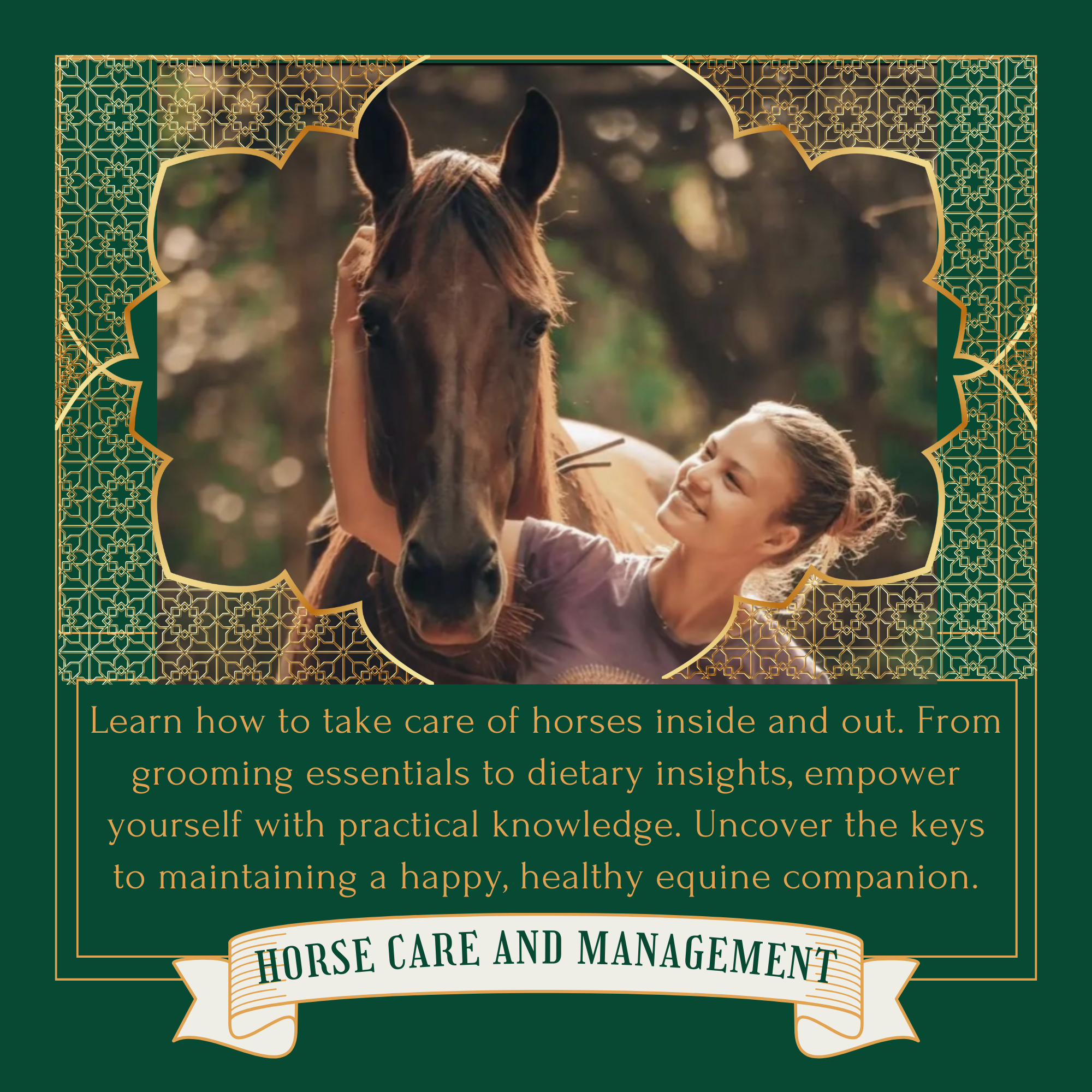 Read more about the article Horse Care & Management