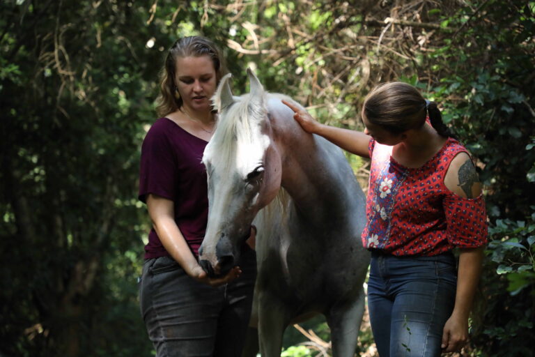 Read more about the article HorsetoHuman