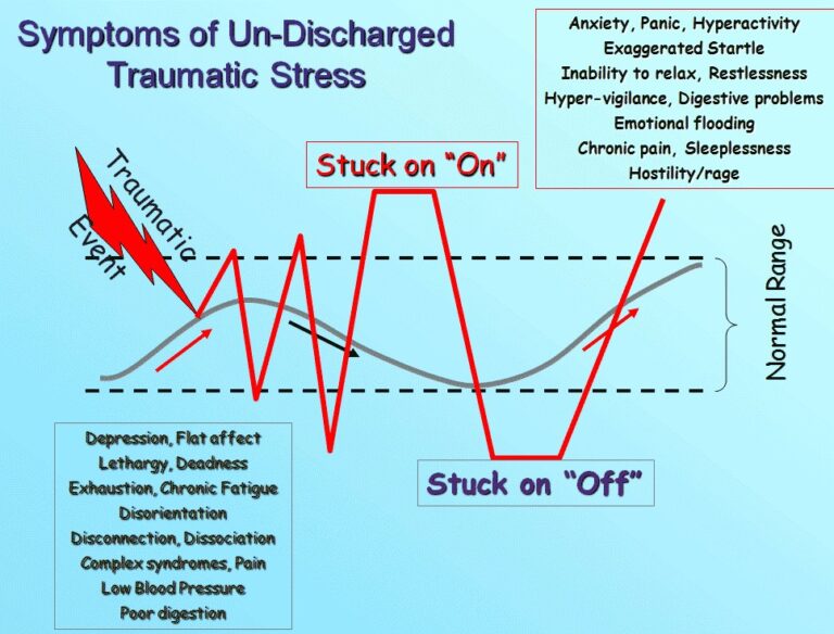 Read more about the article Transforming Trauma