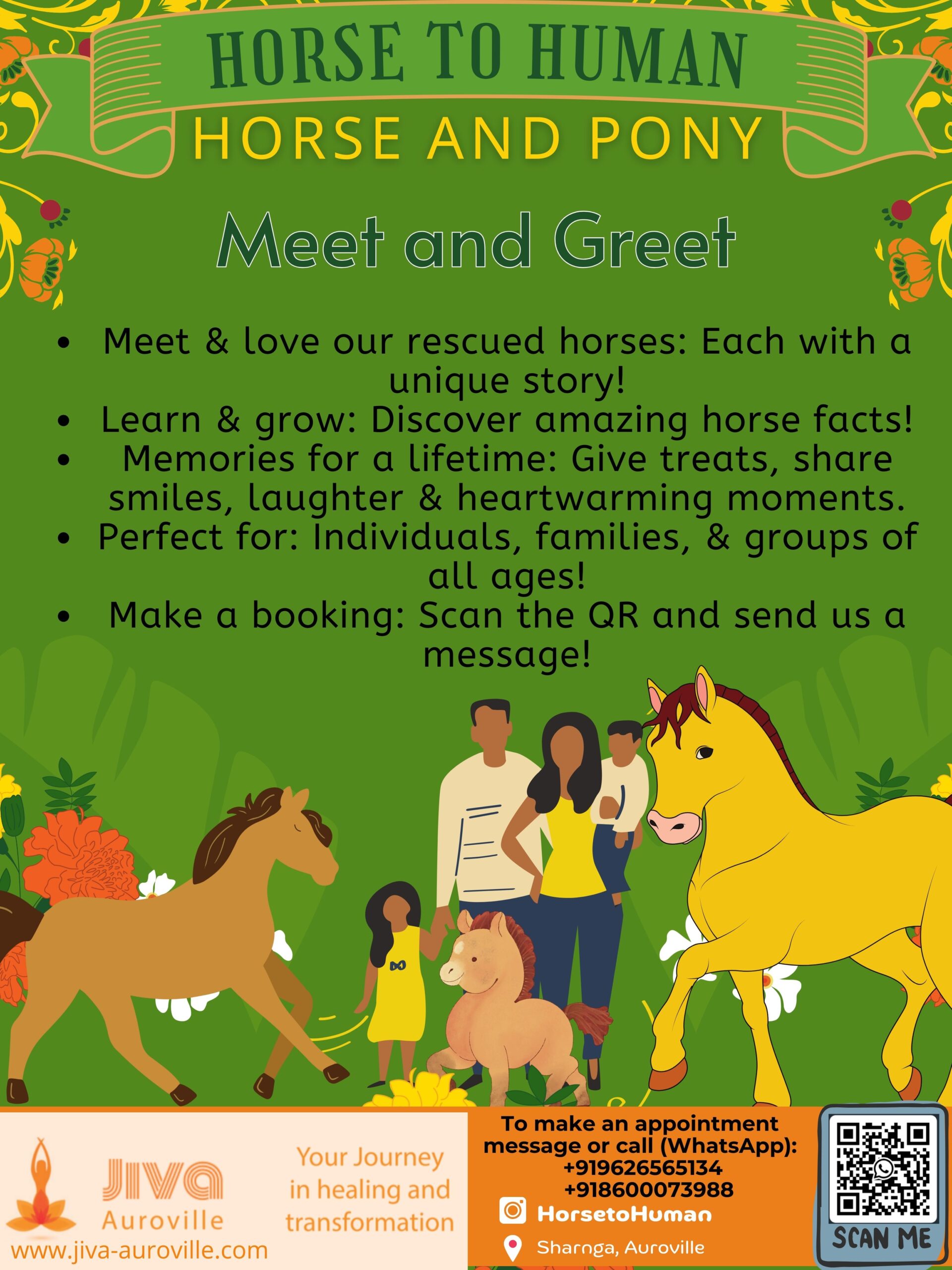 Read more about the article Horse & Pony Meet & Greet
