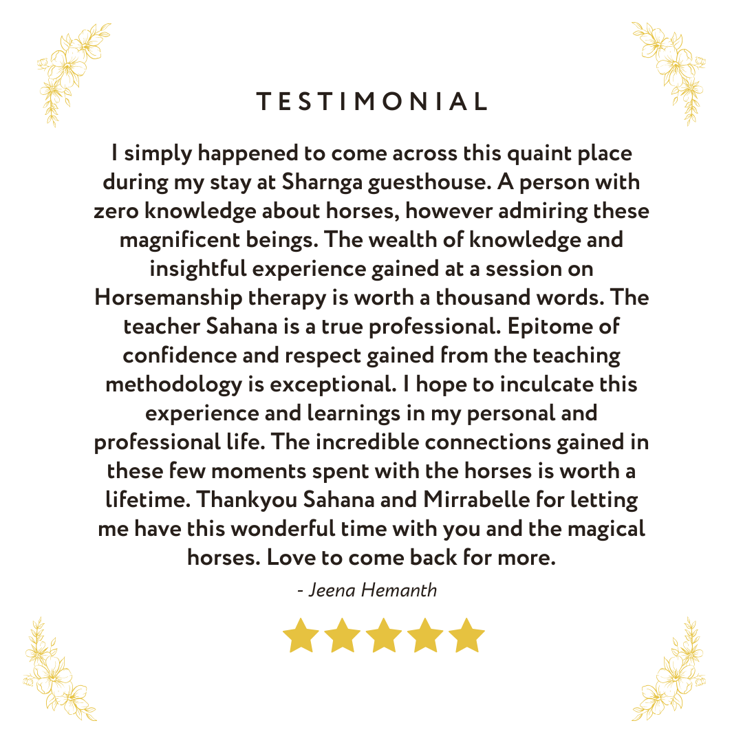 Horse Assisted Therapy Testimonial 2