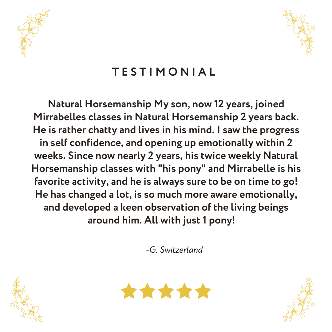 Natural Horsemanship Testimonial 1